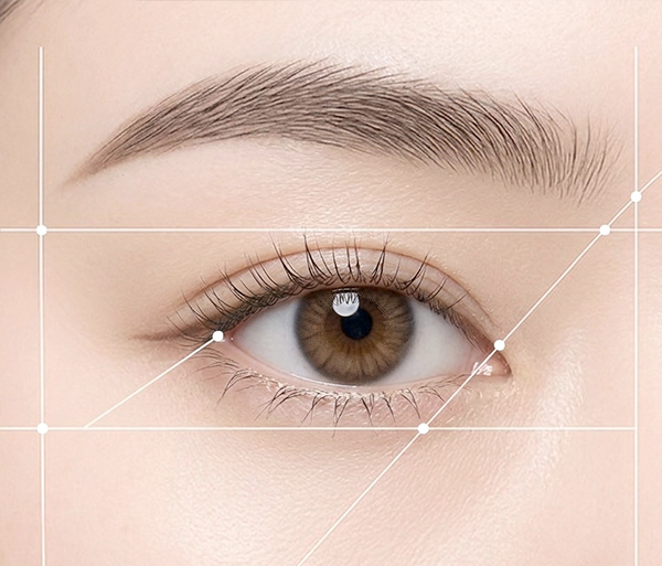 double-eyelid-line-lowering-spe3