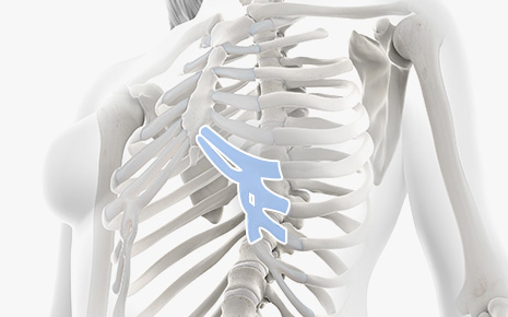 non-implants-img3